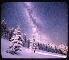 árbol mágico en la noche estrellada de invierno foto