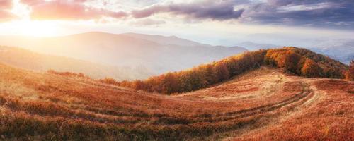 Waterfall in autumn sunlight. Beauty world. Carpathians. Ukraine. Europe photo