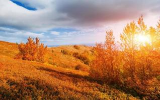 rock massif in the Carpathians. photo