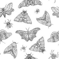 Seamless pattern of vector night butterflies and spiders. Hand drawn illustration. Black and white background.