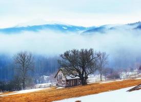 The beginning of spring in the mountains photo