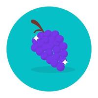 A bunch of sweet berries, icon of grapes in flat rounded style vector