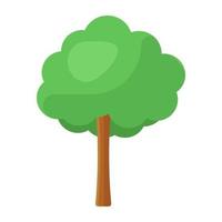 Icon of forest tree, flatty vector