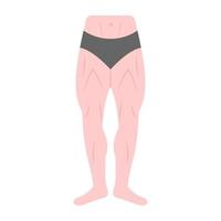 piernas masculinas en vector plano de moda, mostrando parte del cuerpo humano