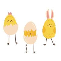 conjunto de tres pollitos de pascua de dibujos animados en cáscaras de huevo y con orejas de conejo aisladas sobre fondo blanco. hunny personajes de pascua. ilustración dibujada a mano vectorial plana. vector