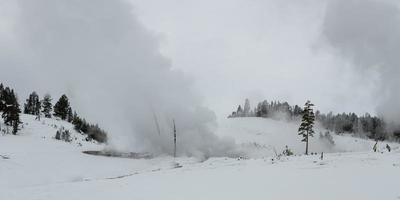 paisajes invernales del parque nacional de yellowstone en wyoming foto