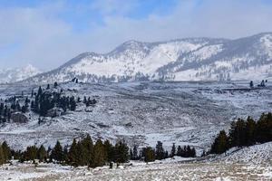 invierno en el valle lamar del parque nacional de yellowstone. foto