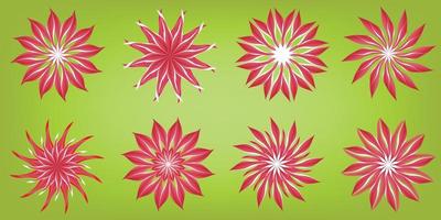 Collection of beauty daisy sunflower chrysanthemum flowers flora gerbera blossom petal plants snowflakes icon object element isolated abstract background pattern vector and illustration