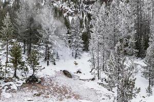 Winter scenery in Yellowstone National Park, Wyoming. photo