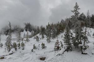 Winter scenery from Yellowstone National Park. photo