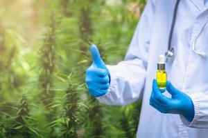 Cannabis oil in the doctor's hand and the other hand great thumbs up. Cannabis plant background. The concept of hemp oil that has therapeutic qualities. Medicine industry. Alternative herbs. photo