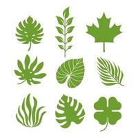 Silhouettes tropical leaves vector template