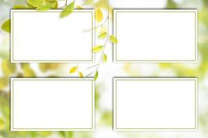 banners of green leaves background photo