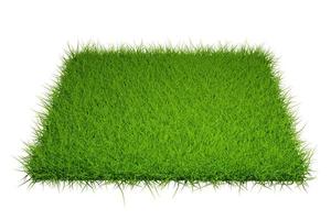 grass field isolated on white background with clipping path photo