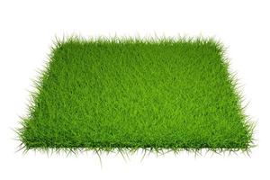 grass field isolated on white background with clipping path photo