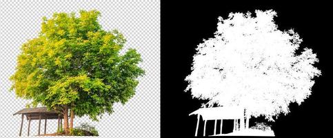 pequeña casa de campo con un árbol en una imagen de fondo transparente con un camino de recorte foto