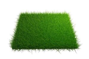 top view grass field isolated on white background with clipping path photo
