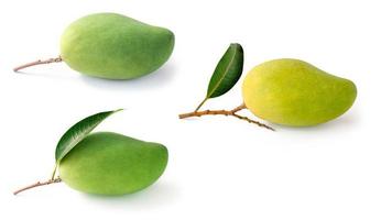 isolated collection green mango fruit photo