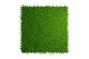 top view grass field isolated on white background with clipping path photo