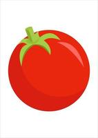 vector de ilustración de tomate