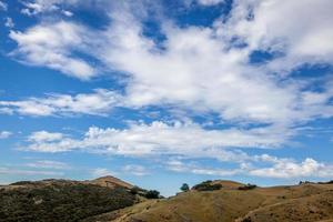 Countryside in the Otago Peninsula of New Zealand photo