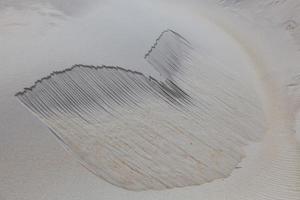 duna de arena en sandfly bay, isla del sur, nueva zelanda foto