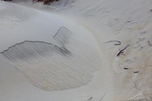 duna de arena en sandfly bay, isla del sur, nueva zelanda foto