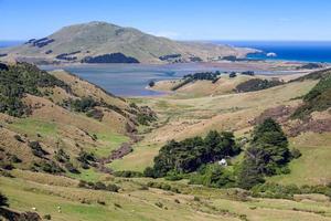 Scenic view of the  countryside in the Otago Peninsula photo