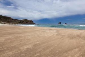 View offshore from Sandfly Bay in the South Island of New Zealand photo