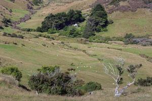 Scenic view of the  countryside in the Otago Peninsula photo