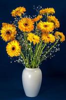 Golden Gerberas in a vase photo