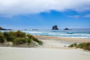 View of Sandfly Bay in the South Island of New Zealand photo