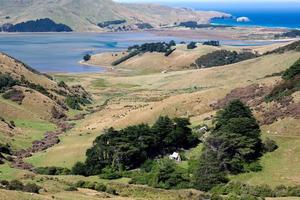 Scenic view of the  countryside in the Otago Peninsula photo