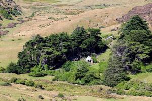 Scenic view of the  countryside in the Otago Peninsula photo