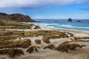 Bay of Flying Sand on the Otagao Peninsula Southen New Zealand photo