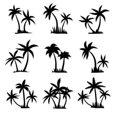 Set of silhouette coconut palm tree isolated on white background. Vector illustration.