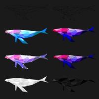 conjunto de polígono de ballena geométrico. ilustración vectorial vector