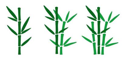 Set of hand drawn bamboo branches with leaves. Bamboo plants in minimalistic design. Doodle style vector illustration