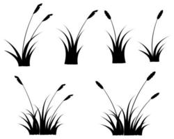 black reeds grass silhouette set. group cattail isolated on white background free vector