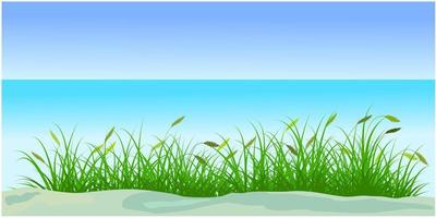 green reeds silhouette with beach and sky background vector