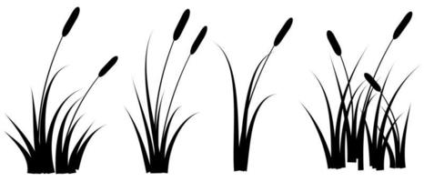 black reeds grass silhouette set. group cattail isolated on white background free vector