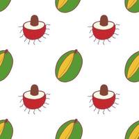 Fruit mango and rambutan seamless pattern, great design for any purposes. Hand drawn fabric texture pattern. Healthy food background. Vector flat style summer graphic. On white background.