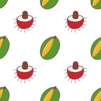 Fruit mango and rambutan seamless pattern, great design for any purposes. Hand drawn fabric texture pattern. Healthy food background. Vector flat style summer graphic. On white background.