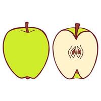 Vintage isolated apple whole and half, great design for any purposes. Graphic vector art.