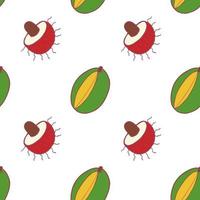 Fruit mango and rambutan seamless pattern, great design for any purposes. Hand drawn fabric texture pattern. Healthy food background. Vector flat style summer graphic. On white background.
