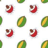 Fruit mango and rambutan seamless pattern, great design for any purposes. Hand drawn fabric texture pattern. Healthy food background. Vector flat style summer graphic. On white background.