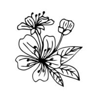 lindo conjunto de ramas de sakura aislado dibujado a mano. ilustración de vector floral en contorno negro y plano blanco aislado sobre fondo blanco.