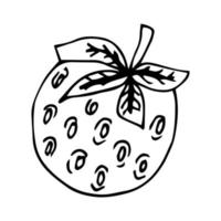 contorno vectorial bayas en blanco y negro para decorar contornos verano comida saludable simplicidad cereza fresa uvas vector