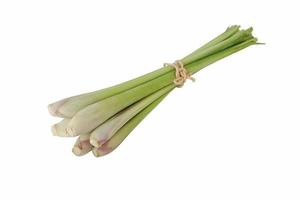 Bundle of lemon grass isolated on white background with clipping path photo