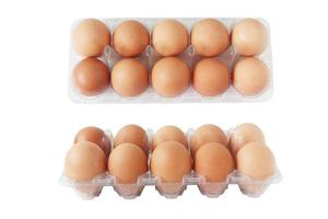 Eggs of chicken in plastic tray isolated on white background. Top and side view. photo